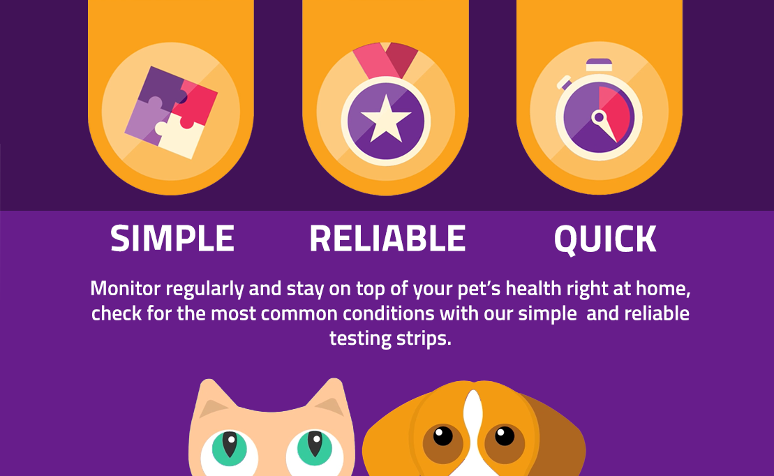 CheckUp testing strips — simple, reliable, quick: monitor your pet's health right at home